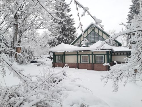 The biological museum is visible behind the trees in the winter. A white wooden building with green window frames and large pane windows.