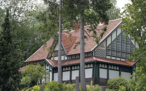 Biologinen museo näkyy puiden takaa. Valkoinen puurakennus, jossa on vihreät ikkunapuut ja isot ruutuikkunat. 